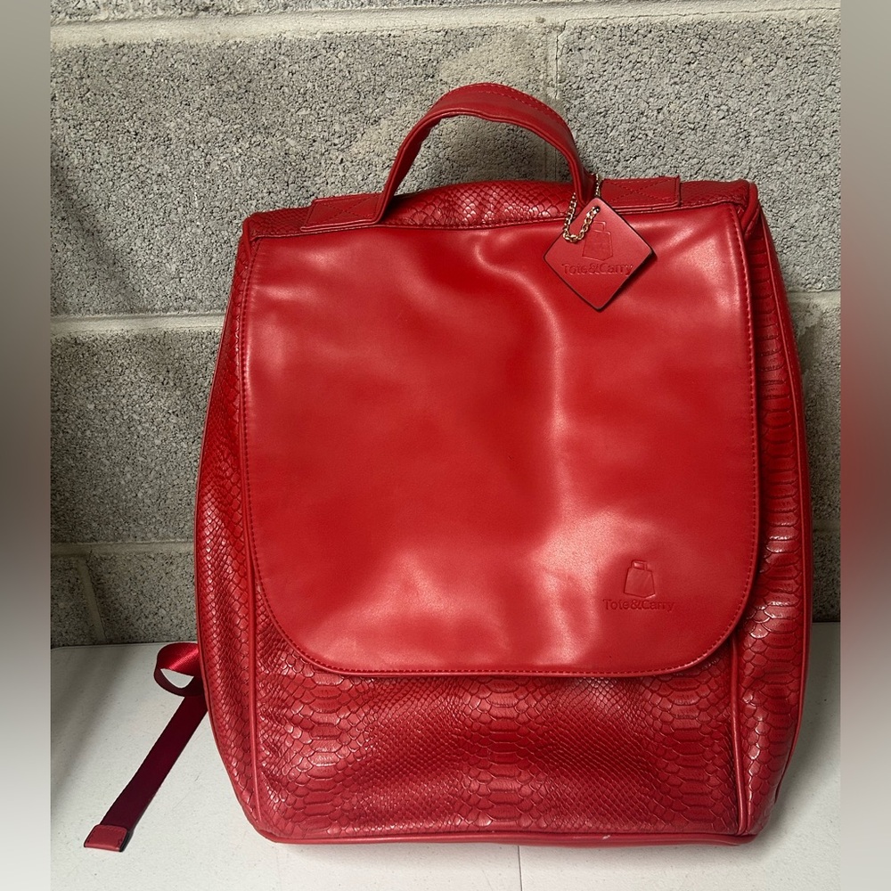 APOLLO 2 BACKPACK IN RED